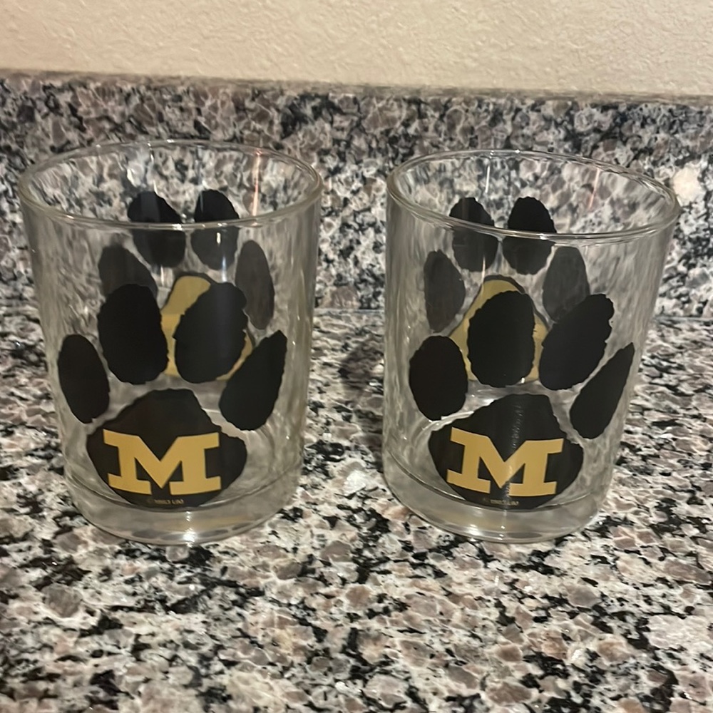 Mizzou vintage 1983 glasses (2) great condition!